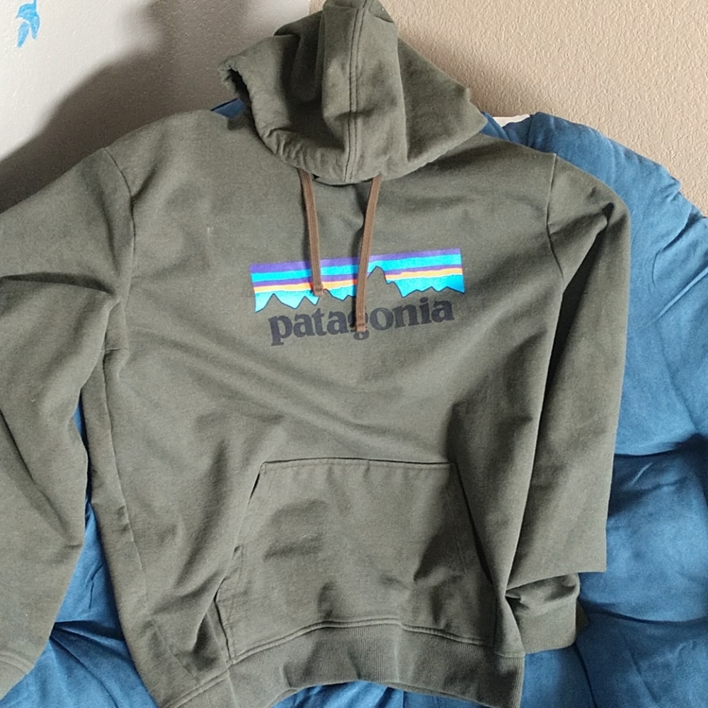 Patagonia hoodie
